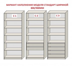 Шкаф распашной серия «ЗЕВС» (PL3/С1/PL2) в Лабытнанги - labytnangi.mebel24.online | фото 6