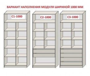 Шкаф распашной серия «ЗЕВС» (PL3/С1/PL2) в Лабытнанги - labytnangi.mebel24.online | фото 7