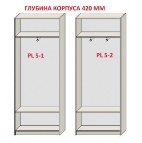 Шкаф распашной серия «ЗЕВС» (PL3/С1/PL2) в Лабытнанги - labytnangi.mebel24.online | фото 8