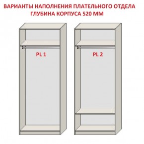 Шкаф распашной серия «ЗЕВС» (PL3/С1/PL2) в Лабытнанги - labytnangi.mebel24.online | фото 9