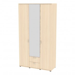 Шкаф с зеркалом Ольга H54_M в Лабытнанги - labytnangi.mebel24.online | фото 9