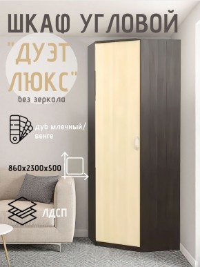 Шкаф угловой Дуэт Люкс без зеркала в Лабытнанги - labytnangi.mebel24.online | фото 3