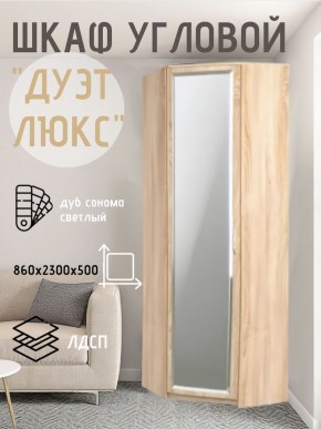 Шкаф угловой Дуэт Люкс с зеркалом в Лабытнанги - labytnangi.mebel24.online | фото