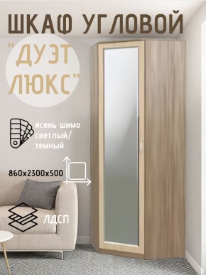 Шкаф угловой Дуэт Люкс с зеркалом в Лабытнанги - labytnangi.mebel24.online | фото 3
