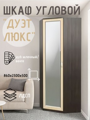 Шкаф угловой Дуэт Люкс с зеркалом в Лабытнанги - labytnangi.mebel24.online | фото 5