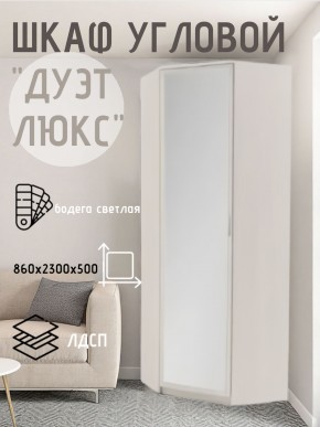 Шкаф угловой Дуэт Люкс с зеркалом в Лабытнанги - labytnangi.mebel24.online | фото 6