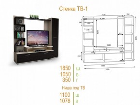 Стенка для гостиной ТВ-1 в Лабытнанги - labytnangi.mebel24.online | фото 2