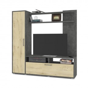 РИГА Стенка в Лабытнанги - labytnangi.mebel24.online | фото 1