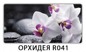 Стол Бриз с фотопечатью Кофе R012 в Лабытнанги - labytnangi.mebel24.online | фото 10