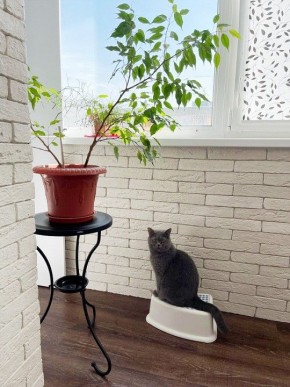 Стол журнальный SHT-CT10-1 в Лабытнанги - labytnangi.mebel24.online | фото 5