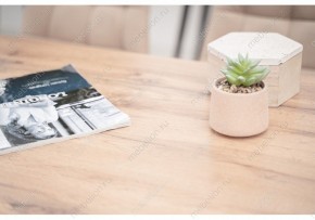 Стол обеденный Тринити Лофт 120 в Лабытнанги - labytnangi.mebel24.online | фото 6