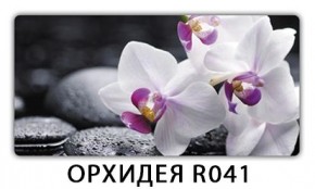 Стол раздвижной Бриз орхидея R041 Орхидея R041 в Лабытнанги - labytnangi.mebel24.online | фото 4
