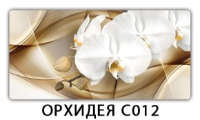 Стол раздвижной Трилогия с фотопечатью Орхидея C013 в Лабытнанги - labytnangi.mebel24.online | фото 13