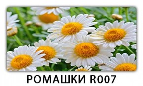 Стол раздвижной Трилогия с фотопечатью Орхидея C013 в Лабытнанги - labytnangi.mebel24.online | фото 15