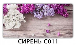Стол раздвижной Трилогия с фотопечатью Орхидея C013 в Лабытнанги - labytnangi.mebel24.online | фото 16