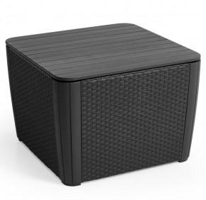 Стол-сундук Лузон Плюс (Luzon Plus Flat Wicker), графит в Лабытнанги - labytnangi.mebel24.online | фото 3