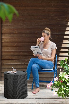 Столик-холодильник Кул-Стул (Cool stool) коричневый в Лабытнанги - labytnangi.mebel24.online | фото 2