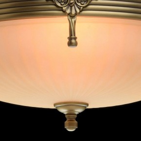 Светильник на штанге MW-Light Афродита 1 317011504 в Лабытнанги - labytnangi.mebel24.online | фото 5
