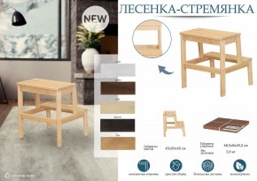 Табурет Стремянка в Лабытнанги - labytnangi.mebel24.online | фото 6