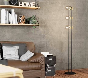 Торшер Eglo ПРОМО Chieveley 43544 в Лабытнанги - labytnangi.mebel24.online | фото 2