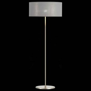 Торшер EVOLUCE Brescia SLE300515-01 в Лабытнанги - labytnangi.mebel24.online | фото 3