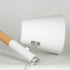 Торшер Lussole Buckeye LSP-0628 в Лабытнанги - labytnangi.mebel24.online | фото 4