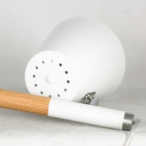 Торшер Lussole Buckeye LSP-0628 в Лабытнанги - labytnangi.mebel24.online | фото 5