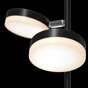 Торшер Maytoni Fad MOD070FL-L12B3K в Лабытнанги - labytnangi.mebel24.online | фото