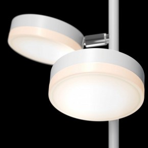Торшер Maytoni Fad MOD070FL-L12W3K в Лабытнанги - labytnangi.mebel24.online | фото 5