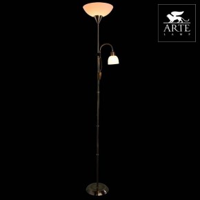 Торшер с подсветкой Arte Lamp Duetto A9569PN-2AB в Лабытнанги - labytnangi.mebel24.online | фото 3