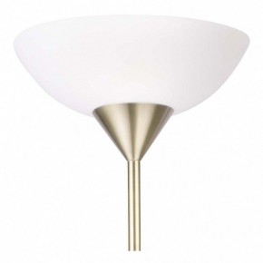 Торшер с подсветкой Arte Lamp Duetto A9569PN-2AB в Лабытнанги - labytnangi.mebel24.online | фото 5
