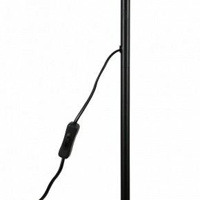 Торшер Uniel UML-T701 UL-00010188 в Лабытнанги - labytnangi.mebel24.online | фото 8