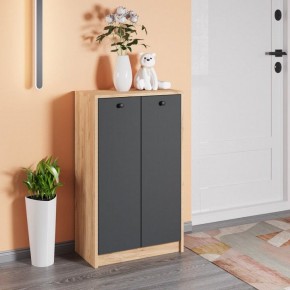 Тумба для обуви Рино в Лабытнанги - labytnangi.mebel24.online | фото 3